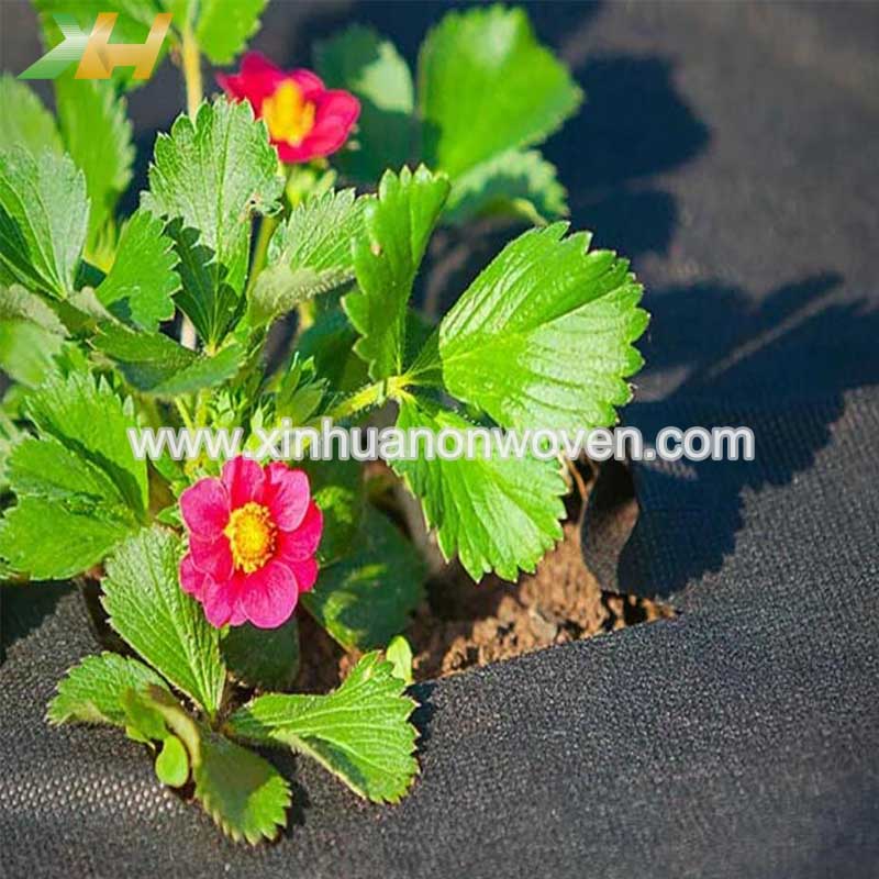 non woven weed fabric
