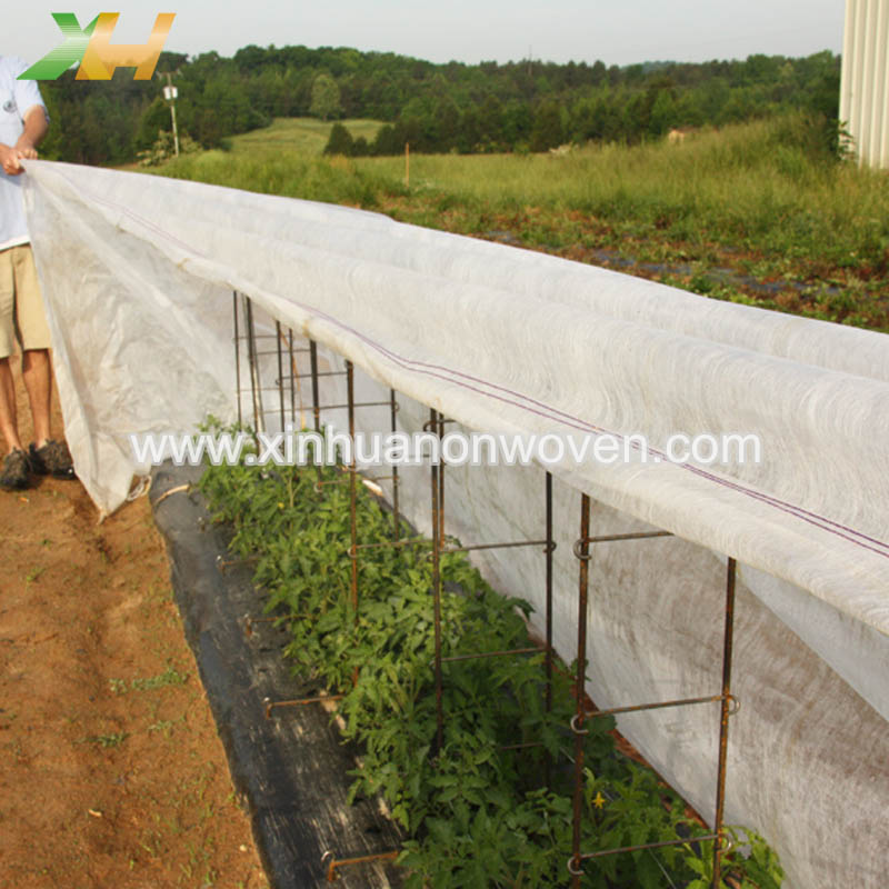 Pourquoi l'agriculture utilise-t-elle des tissus non tissés ?
